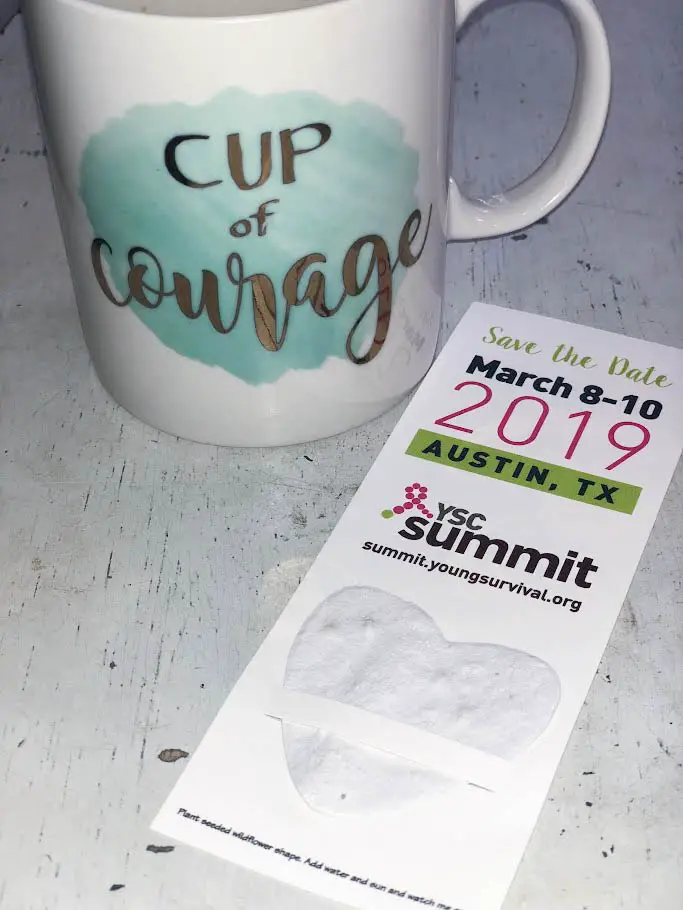 2018 YSC Summit Recap - Save Your Spot 2019