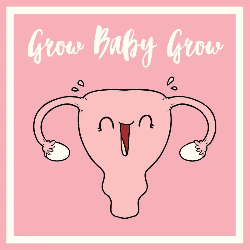 Grow Baby Grow_Frozen Embryo Transfer Week 2