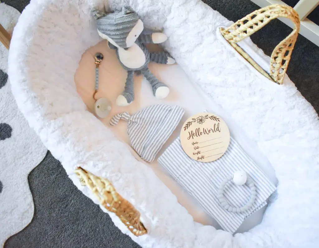 Baby Boy Neutral Nursery_Moses Basket_ Hello World